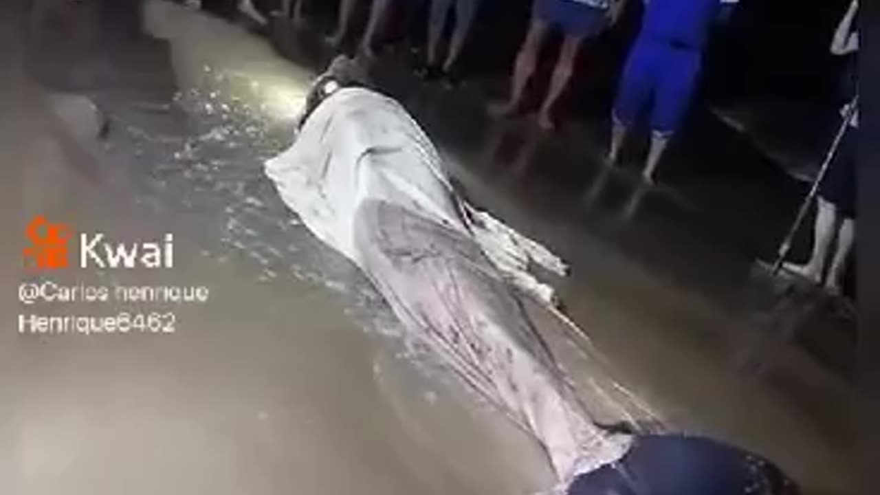 MERMAID BEACHED ON THE SIDE OF THE SEA LIVE PEOPLE INSTEAD OF HELPING JUST FILMING
