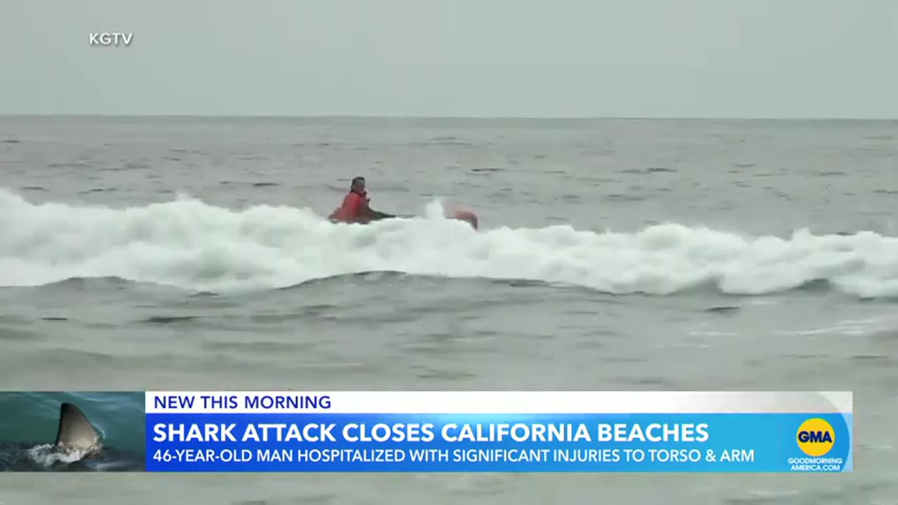 Man attacked by shark off coast of California ABC News