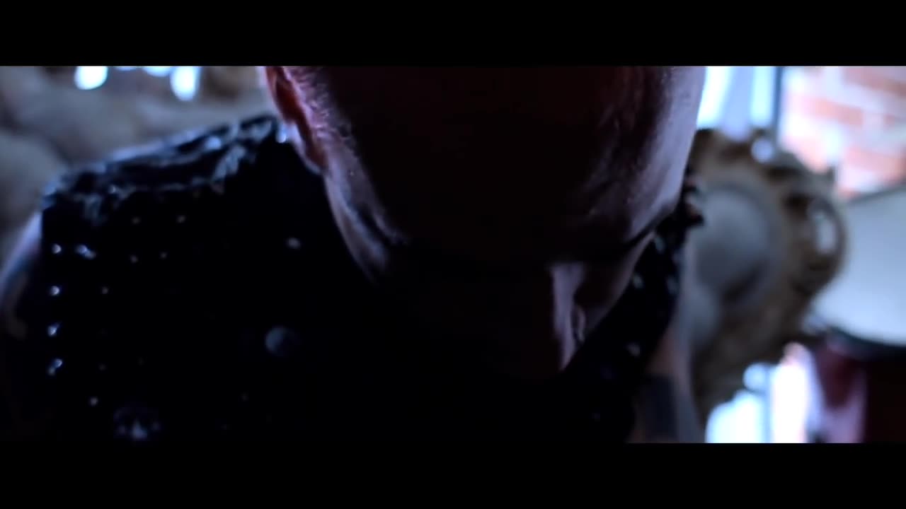 BERNER - HARD HEADED