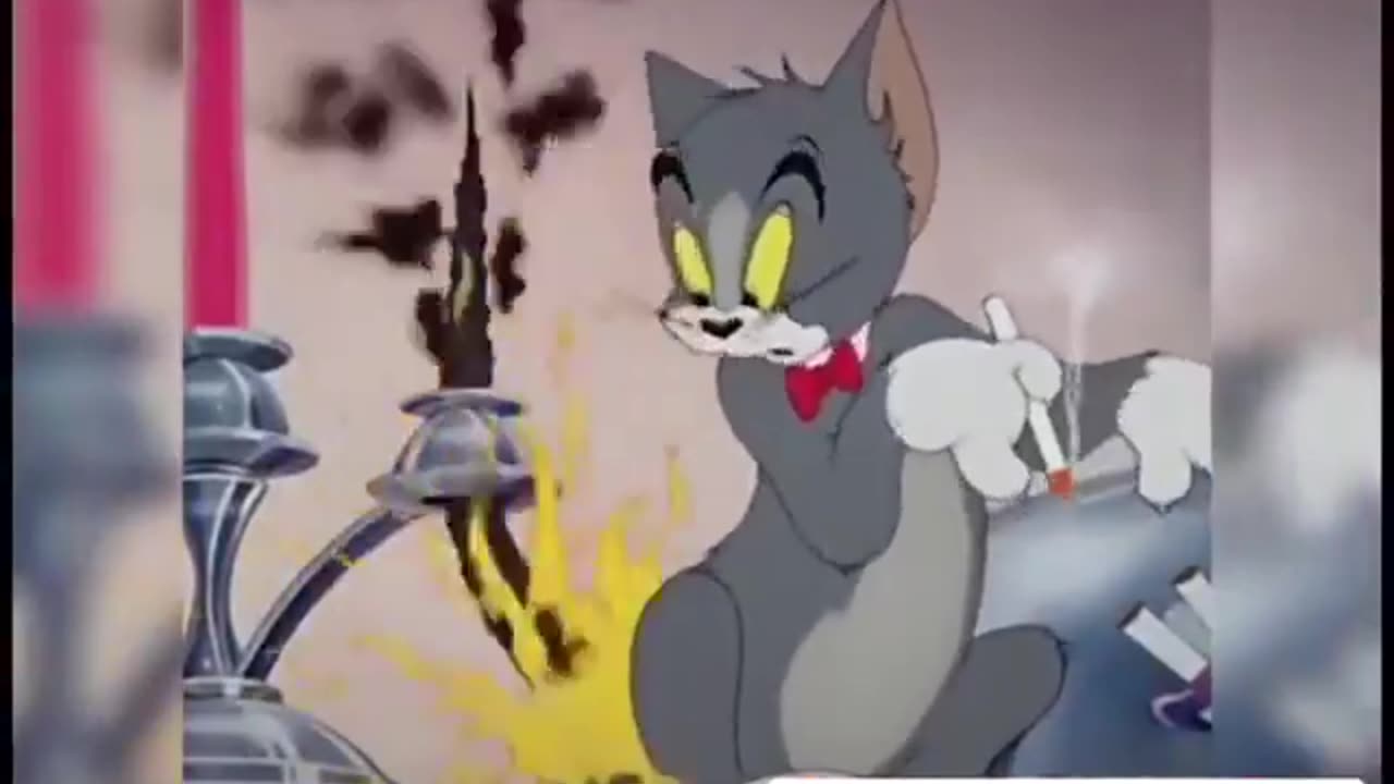 Cartoon & Reality