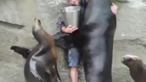 Incredible human and animal bonding!