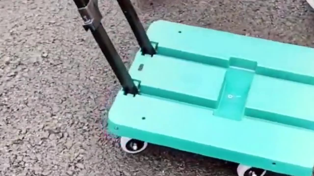 Trolley Luggage