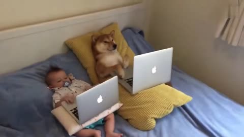 Genius dog holding a laptop with a baby.