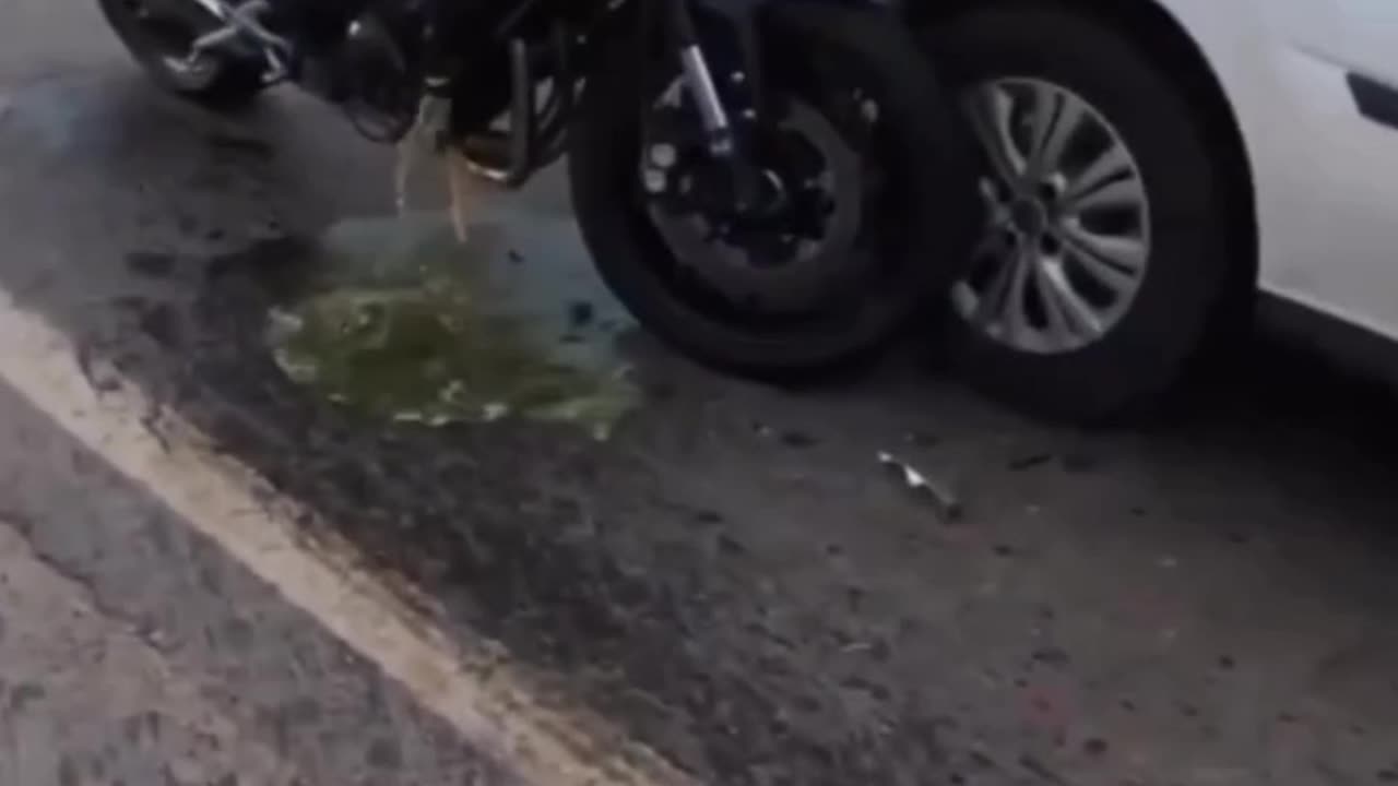 Pain-fail Championships #16