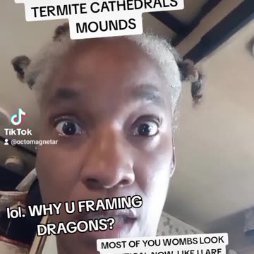 LIZARDS AKA DRAGONS DO NOT BUILD TERMITES MOUNDS AS HOMES
