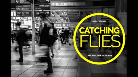 Catching Flies By Charles Spurgeon
