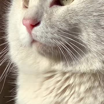 Love is not defined, you're in, it's in