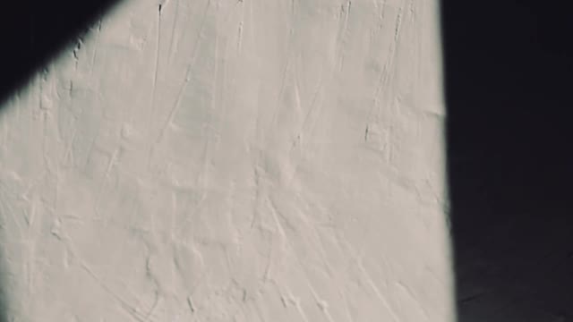 a-person-putting-a-flower-in-a-glass