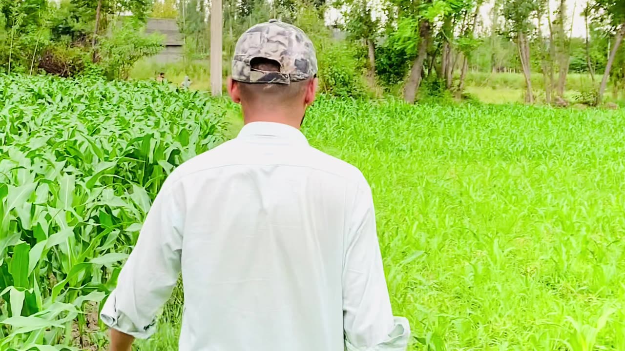 Slowmo Video With Sunset view