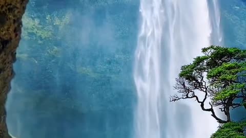 #Useful#Beautiful#Funny #Funny video#laugh# interesting#video#short video#short#short cut