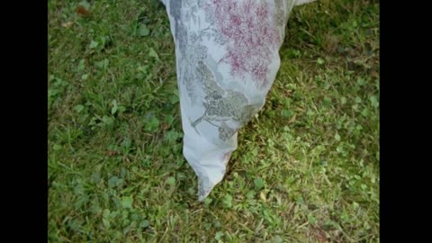 Yves Delorme SS24