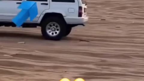 TRY NOT TO LAUGH 😆 Best Funny Videos Compilation