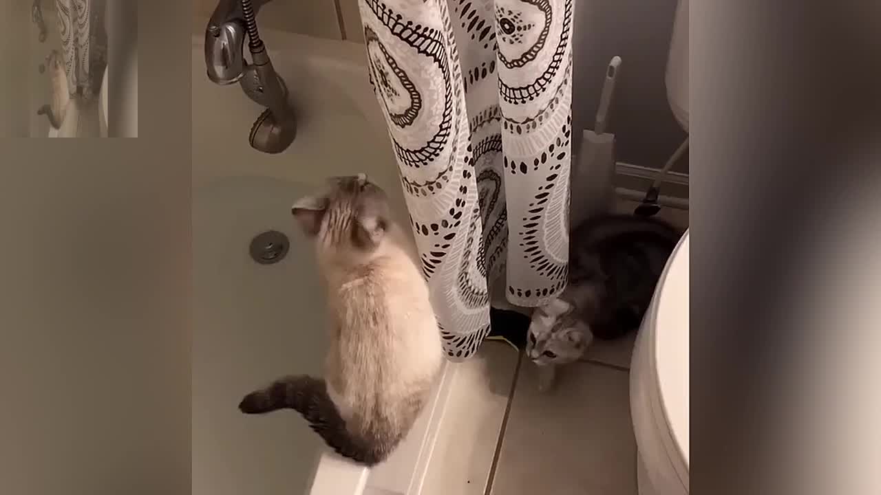 Don't push me! You're scaring me.