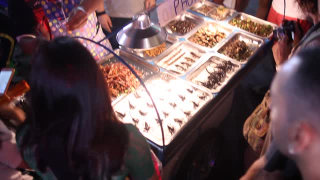 Edible insect