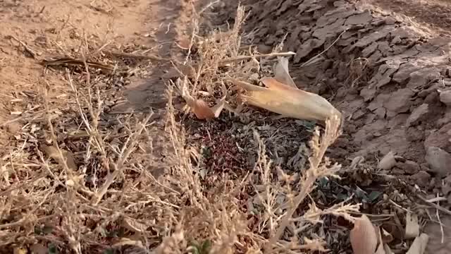 Federal warning issued to drought-stricken southwest