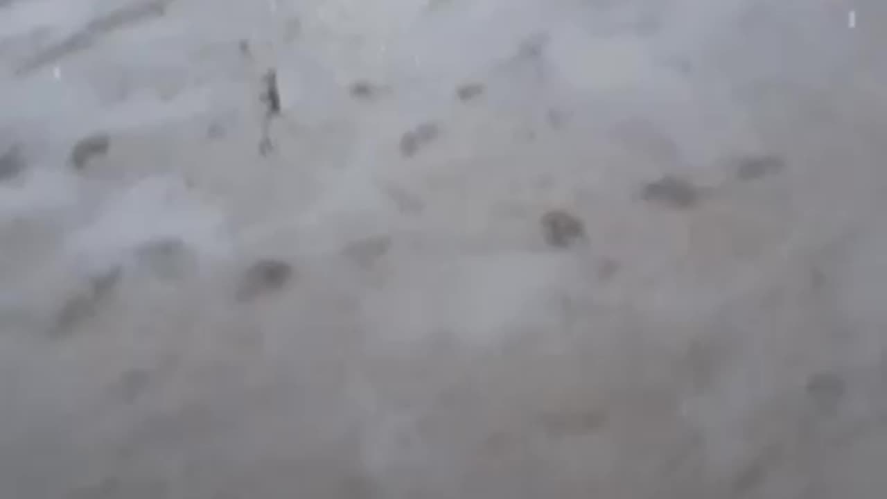 Demo gegen Räääächts in Berlin