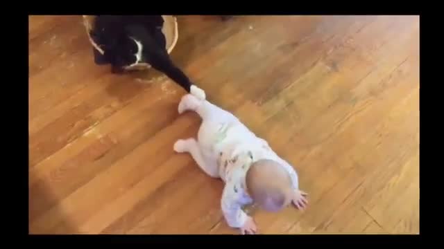 Cute baby😍playing together.