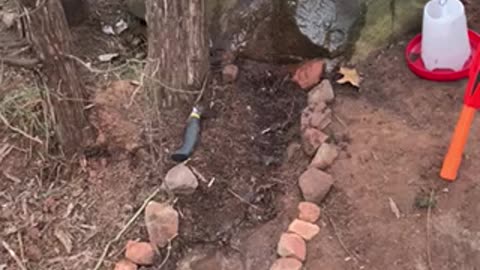 Homemade waterfall on the Homestead by kids