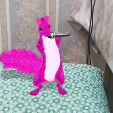 Beatboxing Squirrel