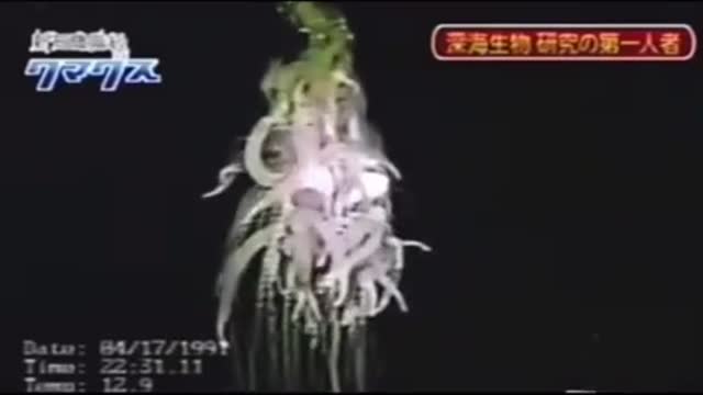 This Is What They Mean By Only 10% Of The Ocean Was Discovered