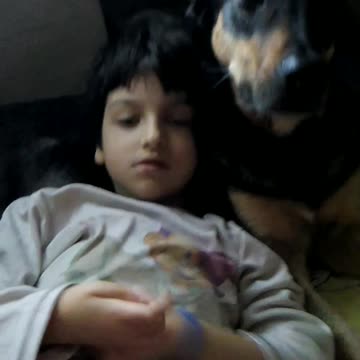 Disabled child and her therapy dog