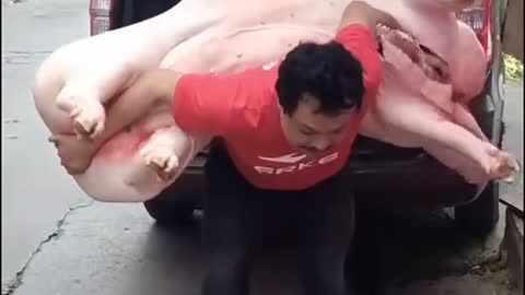 Butcher and the big pig