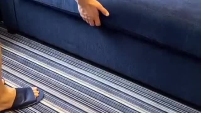 FRIEND ANIMALS