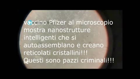 GRAFENE NEL VACCINO PFIZER AL MICROSCOPIO REAGISCE ALLE ONDE ELETTROMAGNETICHE CELLULARI