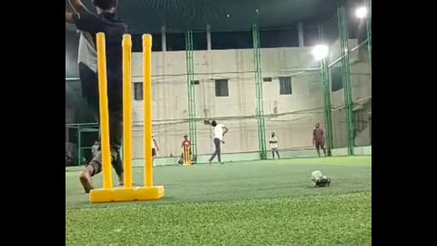 Cricket