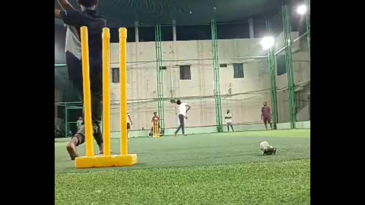 Cricket