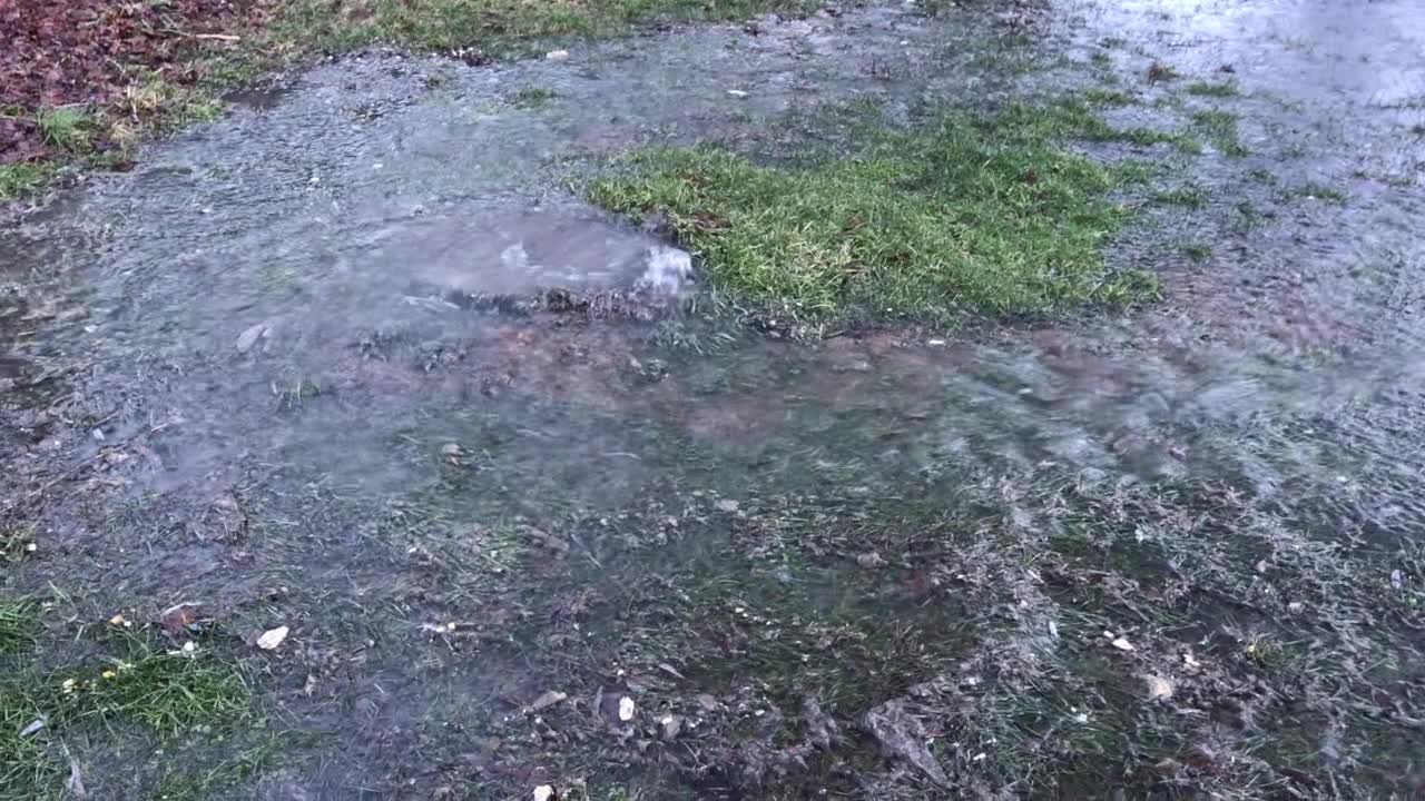 Roaring Creek at the Henry Hollow