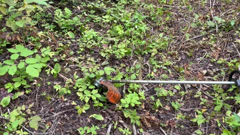 STIHL trimmer with brush cutting attachment