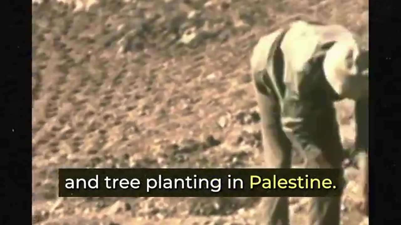 ?? ISRAEL USING TREES TO ETHNICALLY CLEANSE PALESTINIANS