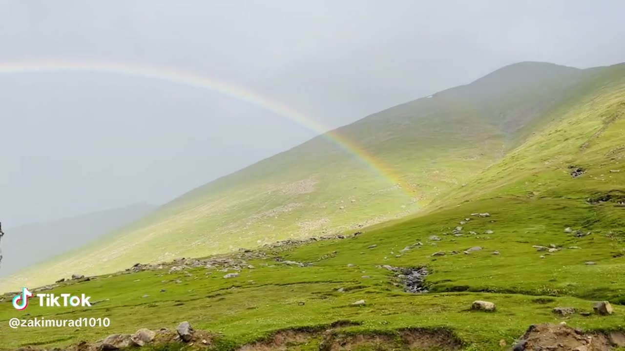 Green land beautiful place