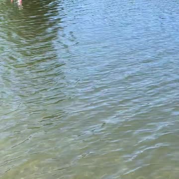 At The Lake, a lazy afternoon on Silver Lake