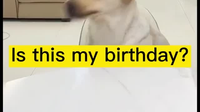 What are you doing......? my birthday party