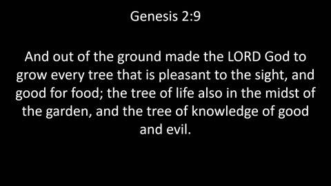 KJV Bible Genesis Chapter 2