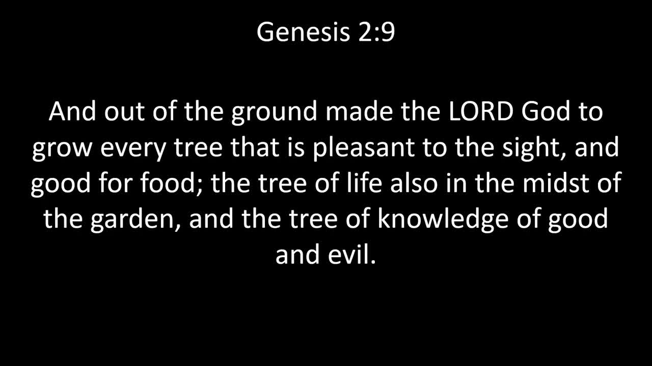 KJV Bible Genesis Chapter 2