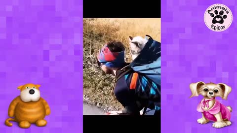 🐶Funny Animals - Funny Dogs and Cats TRY NOT TO LAUGH #47