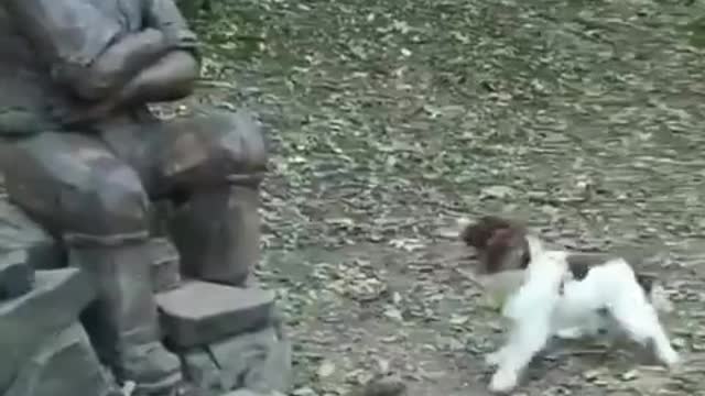 Man, play with me