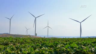 Missourians Oppose Wind Energy Development