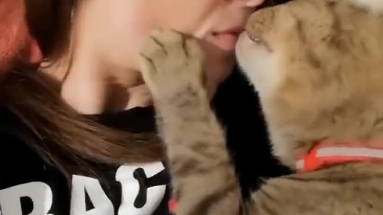 Cat Kisses