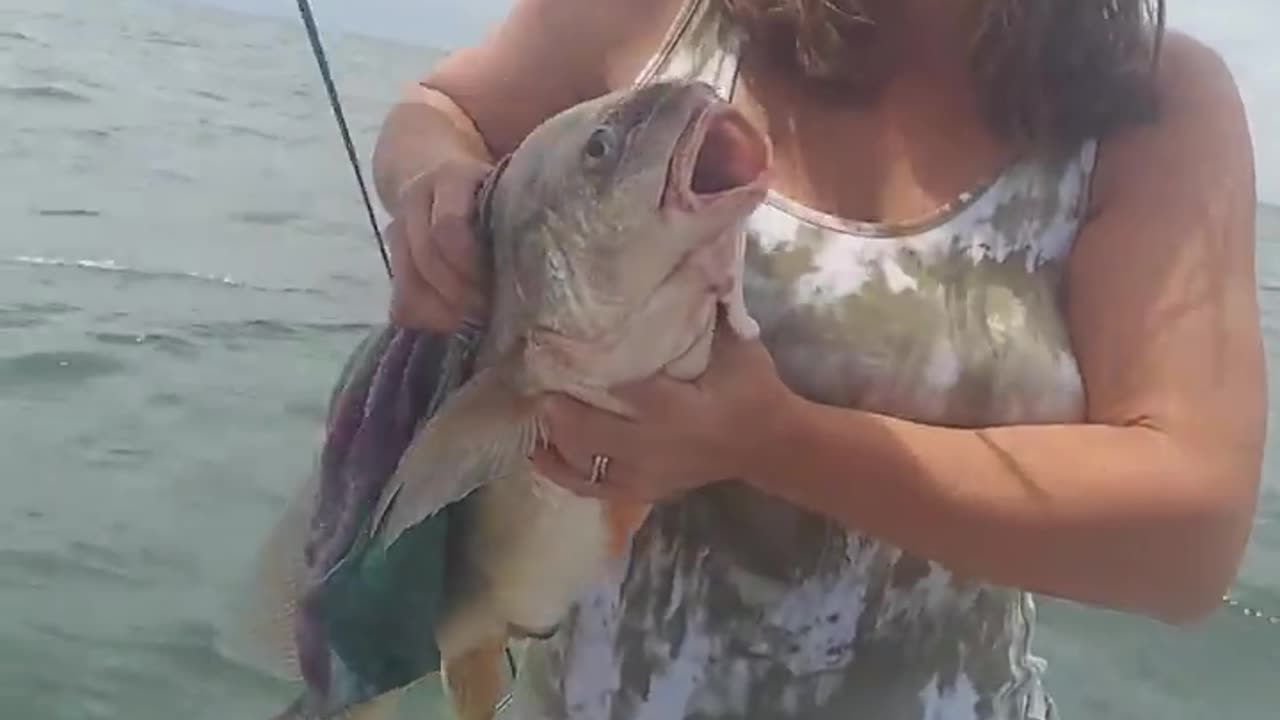 Lake Erie Sheepshead (Freshwater Drum)