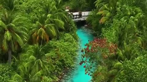 Maldives Beach