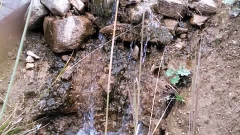 Trabzon Hanlut yaylasından bir başka görüntü