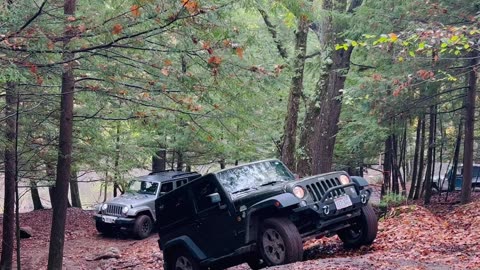 Fun in the trails