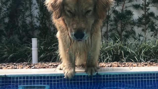 He love a swimming pool