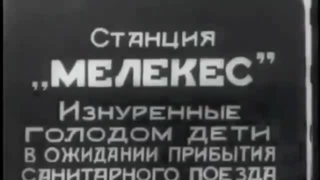 Голодомор устроил Сталин в 1933 м - кричали они...