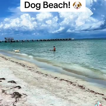 Hidden Gem in Florida (Fort Desoto Park St. Petersburg, Florida