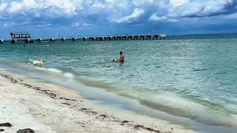 Hidden Gem in Florida (Fort Desoto Park St. Petersburg, Florida